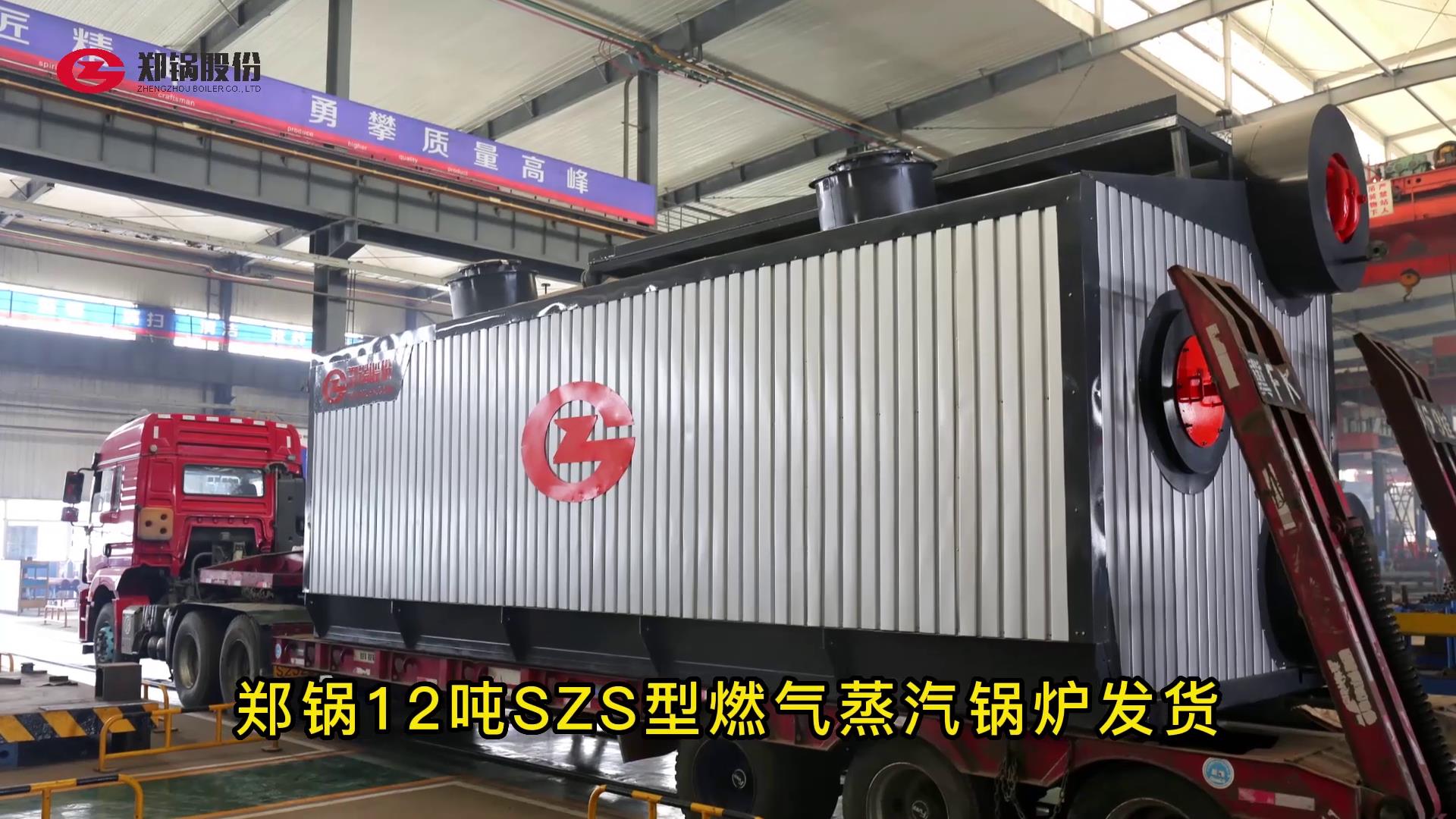 威廉希尔williamhill12吨燃气锅炉发货