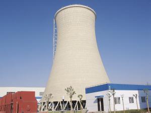 威廉希尔williamhill中标斯里兰卡15MW生物质发电项目