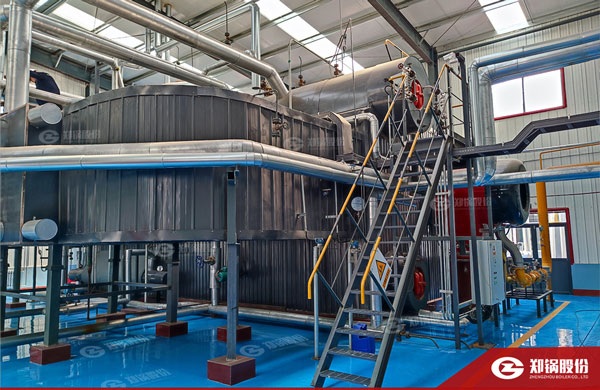 降耗“实招”！！威廉希尔williamhill燃气锅炉助力化工企业能效提升