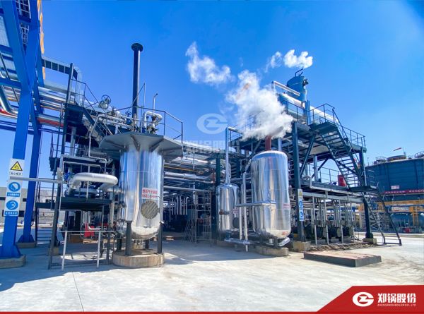 威廉希尔williamhill携手负极质料“一哥”打造SZS型低氮燃气锅炉树模项目