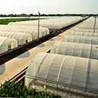 英国·威廉希尔(williamhill)唯一中文官方网站