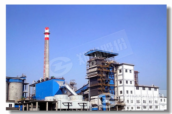 三大山东生物质环保锅炉厂家是哪几家？？？