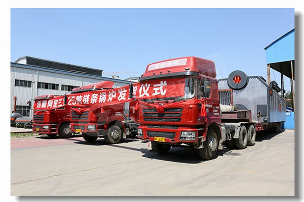 冷凝工业燃气锅炉价钱