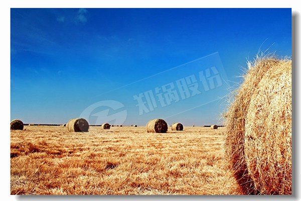 厂家信誉好的热水锅炉品牌找哪家？？