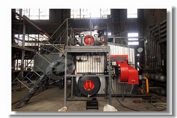 巴中专业自然气锅炉几多钱？