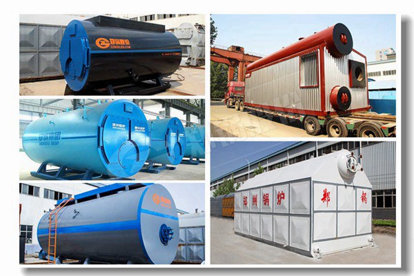 生物质立式两用蒸汽锅炉有哪些型号？？？