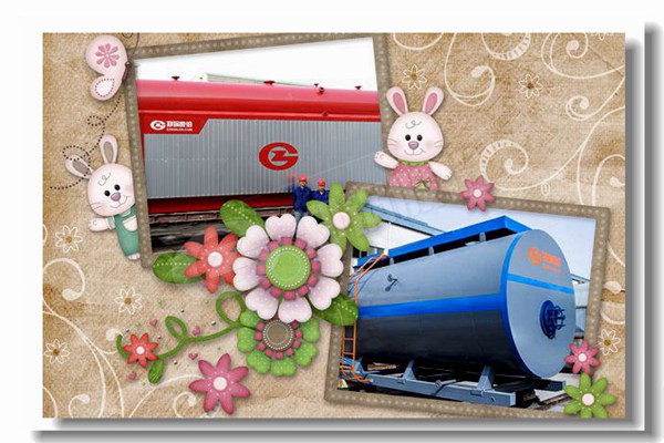 循环流化床锅炉的焚烧装置是怎样的？？？