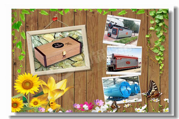 自然气大型工业锅炉