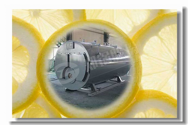 蒸汽锅炉烧烟煤与无烟煤较量有什么区别？