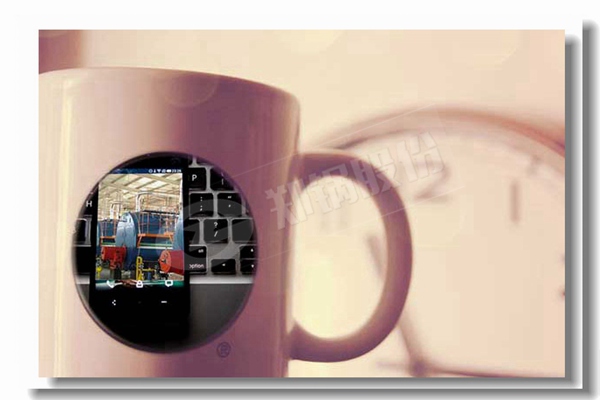 循环流化床锅炉内的燃烧区域有哪些？